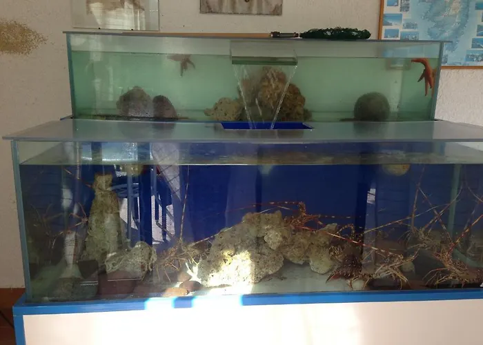 坎芭耶鲁酒店 酒店